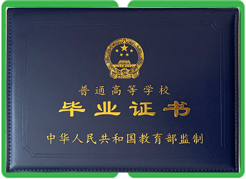 毕业证定制案例